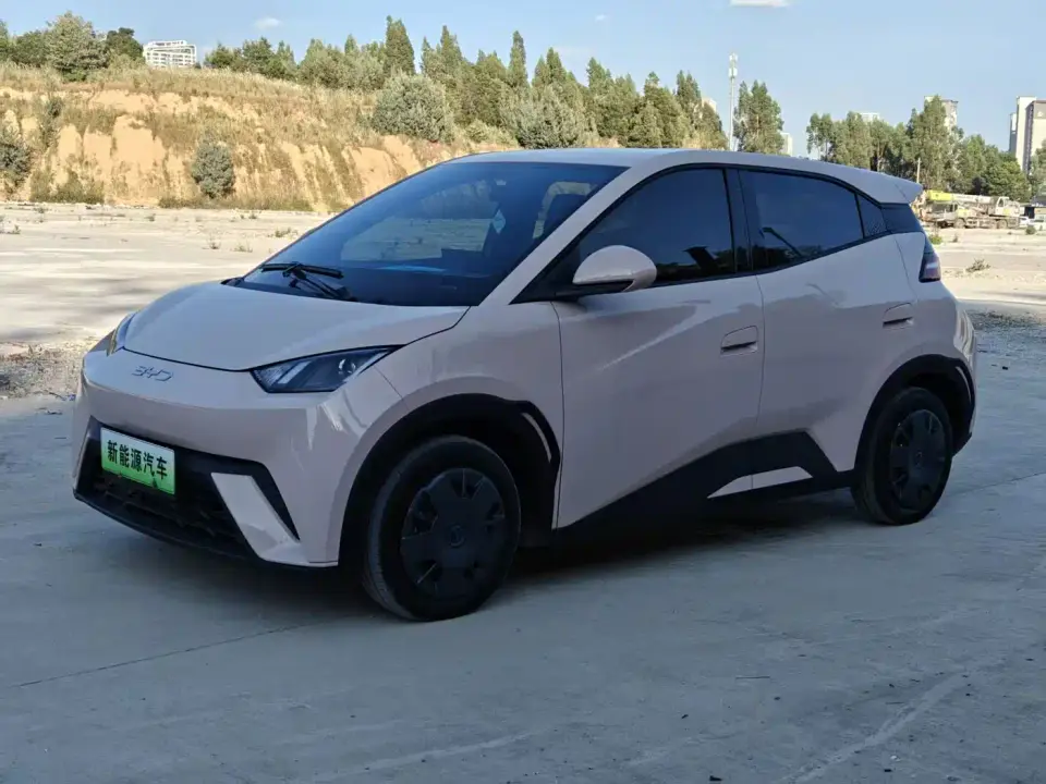 BYD Seagull 305km Vitality 2025