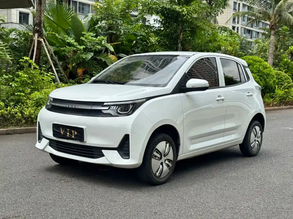 LeiDing Mango Funjoy Edition 200km 2022