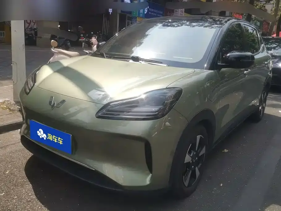 Wuling Motors Wuling Binguo PLUS Model 510km Flagship Edition 4-Seater 2024