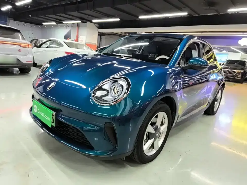 ORA Good Cat Model 430km Luxury 2025