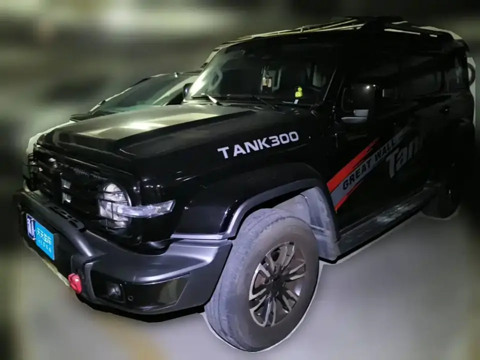 Tank 300 Urban Edition 2.0T My View 2022
