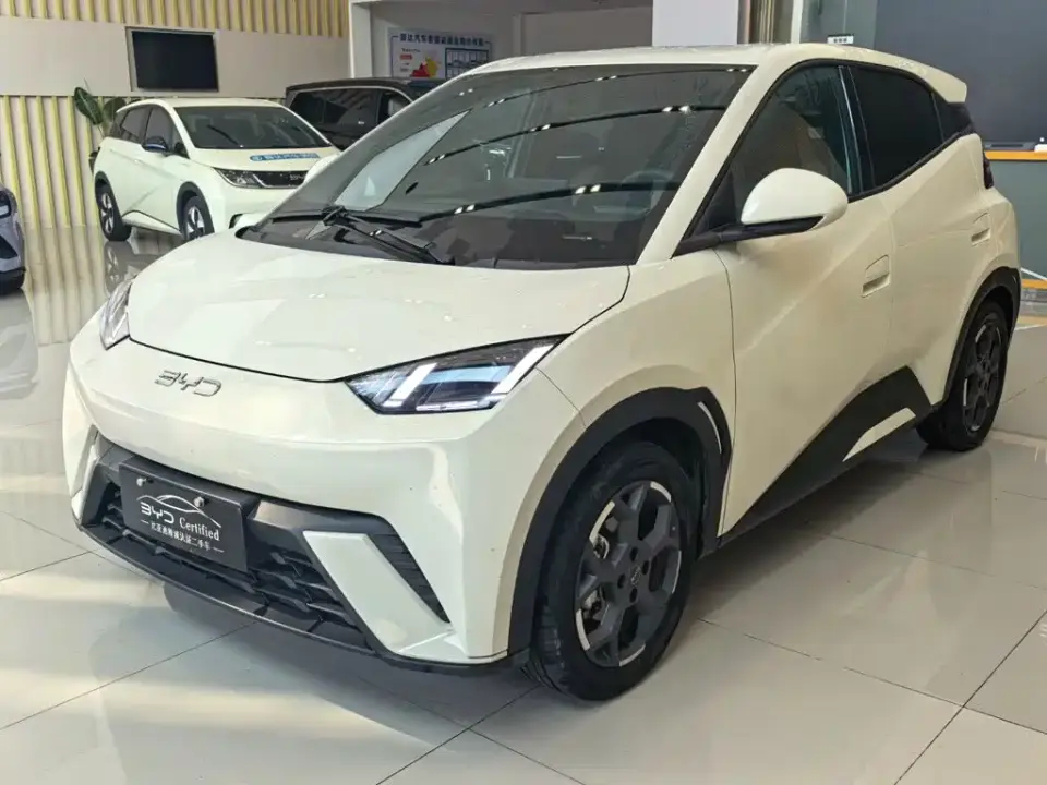 BYD Seagull 405km Soaring 2024