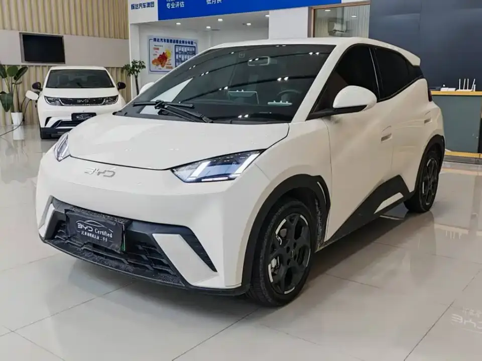 BYD Seagull 405km Soaring 2024