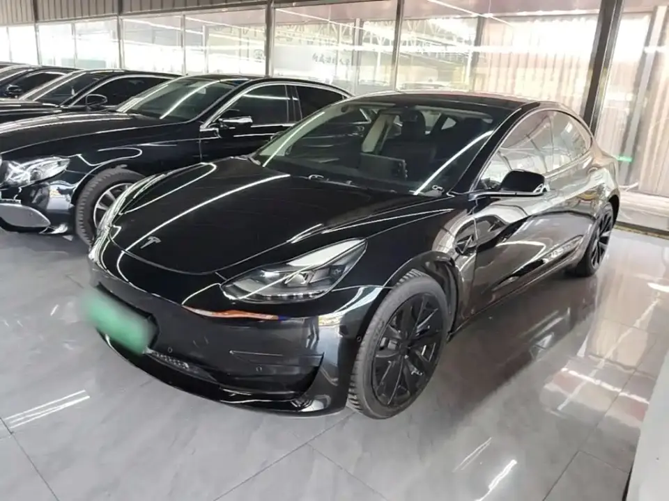 Tesla Model 3 Standard Range Rear-Wheel Drive Upgrade 3D6 2021