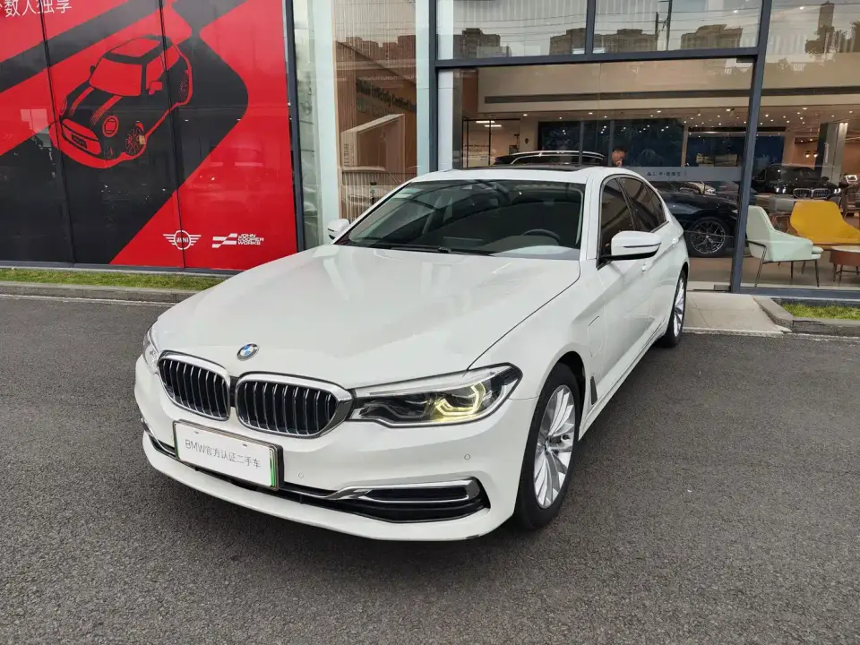 BMW 5 Series New Energy 530Le Luxury Package 2019