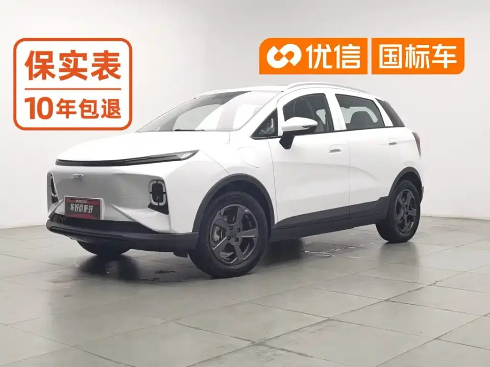 Geely Geometry E Firefly Model 301km Starlight 2023