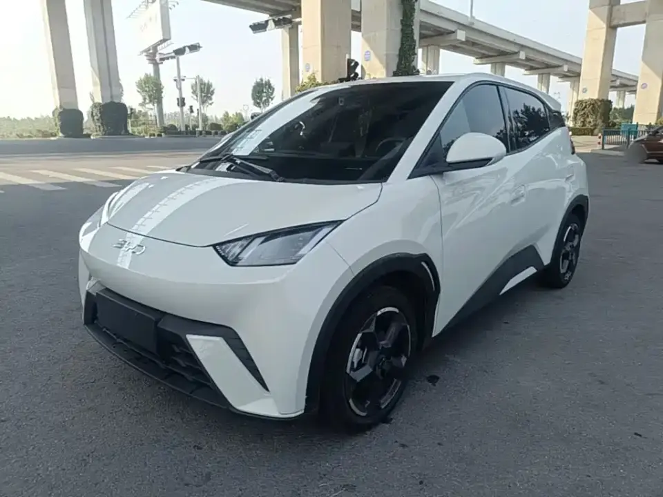BYD Seagull Glory Edition 305km Freedom Edition 2024