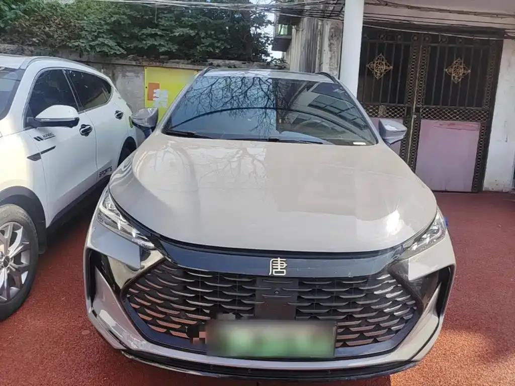 BYD Tang New Energy DM-i 115KM Cloud Chariot Flagship 2024 — фото 2