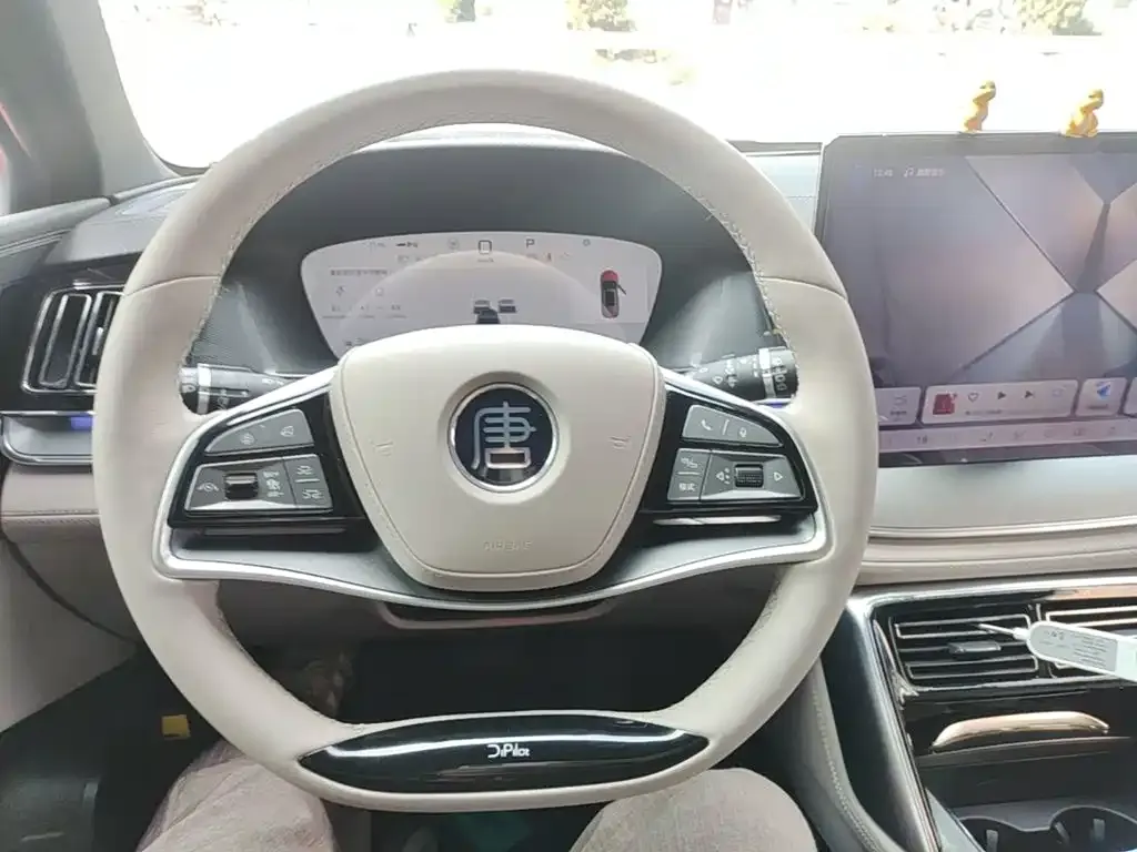 BYD Tang New Energy DM-i 115KM Cloud Chariot Flagship 2024 — фото 10
