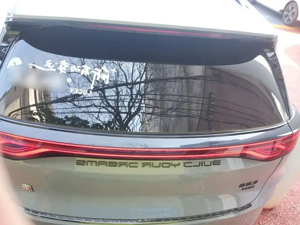 BYD Tang New Energy DM-i 115KM Cloud Chariot Flagship 2024 — фото 5