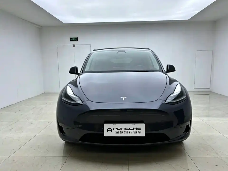 Tesla Model Y Model Long Range AWD 2021