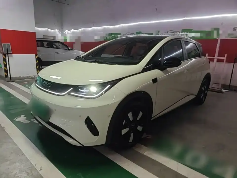 BYD Dolphin Smart Drive Edition 410km Fashion Version 2025