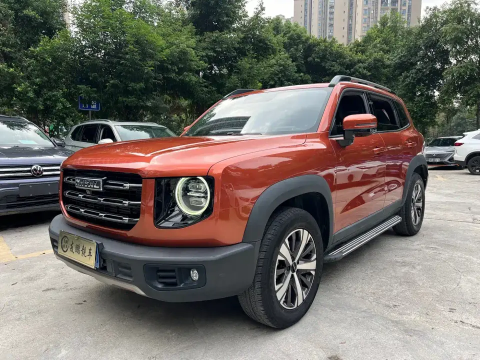 Haval Big Dog 1.5T DCT 2WD Labrador Edition 2021