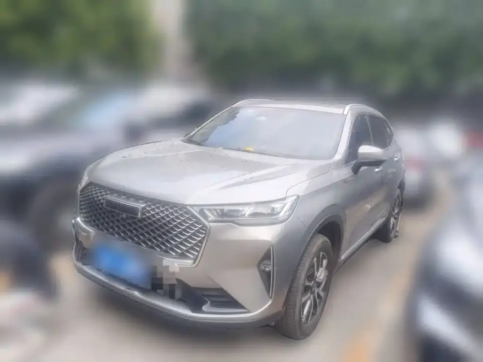 Haval H6 3rd Gen 1.5T Auto 2WD Pro 2023