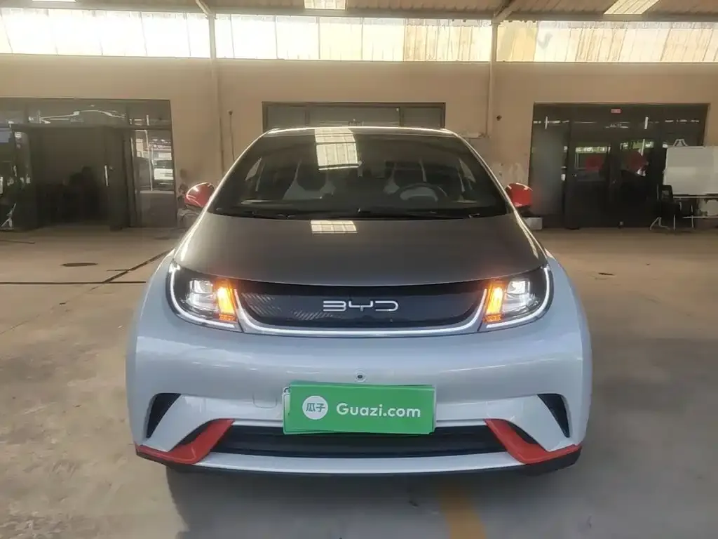 BYD Dolphin 405km Freedom Edition 2022 — фото 2