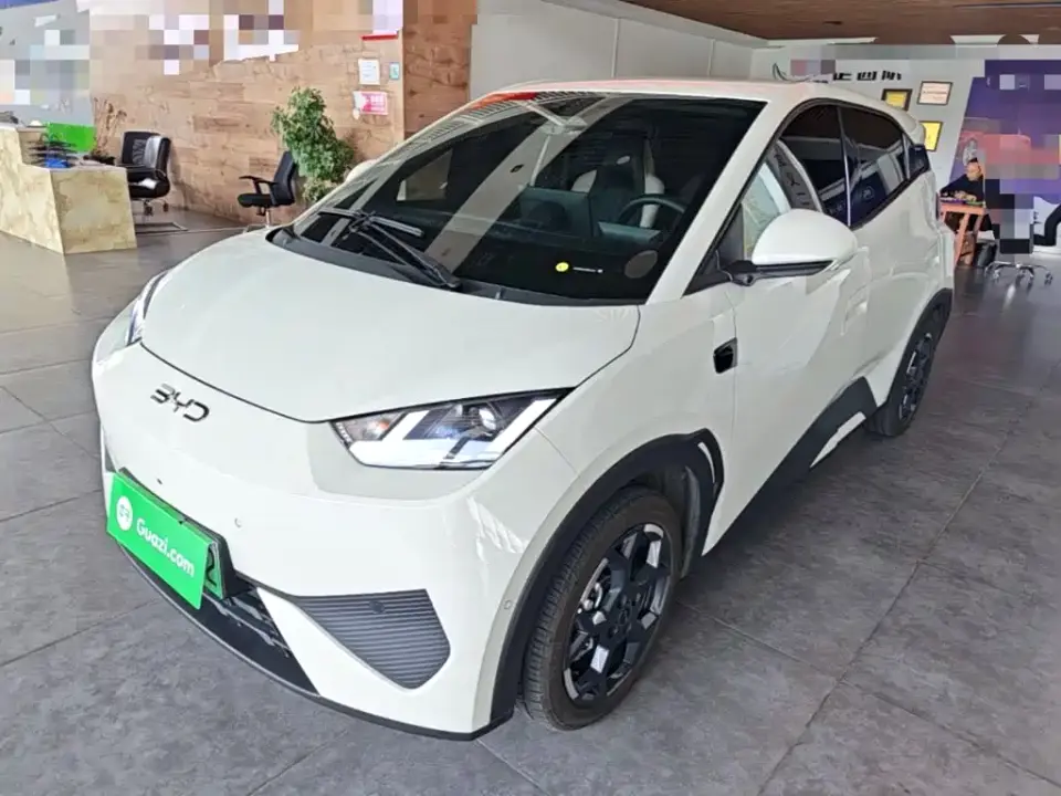 BYD Seagull Smart Drive Edition 305km Freedom Version 2025