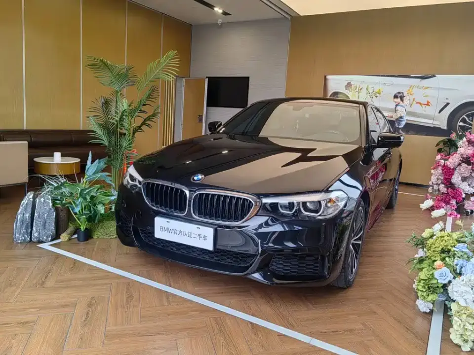 BMW 5 Series 530Li Leading M Sport Package 2019