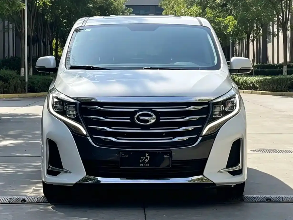GAC Trumpchi M8 Pilot 390T Premium Edition 2020 — фото 2
