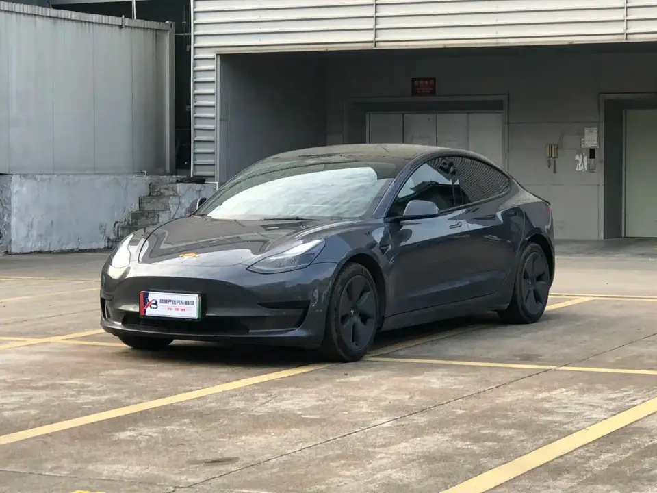 Tesla Model 3 Standard Range Rear-Wheel Drive Upgrade 3D6 2021