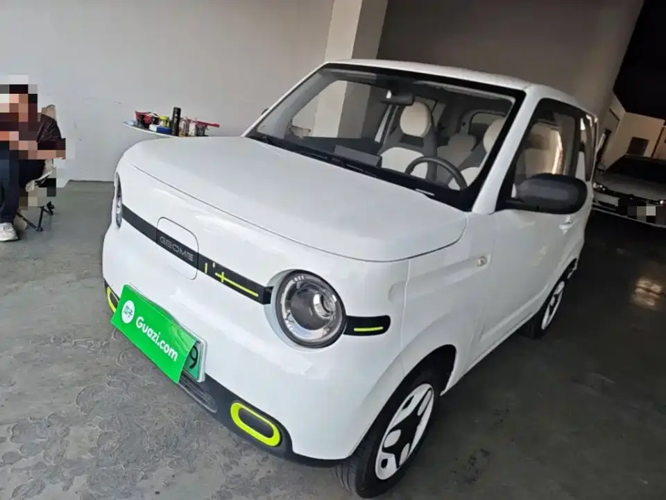 Geely Galaxy Panda Panda mini 210km Vitality Bear 2025