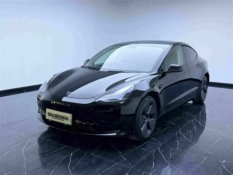 Tesla Model 3 Model Rear-Wheel Drive Version 2022