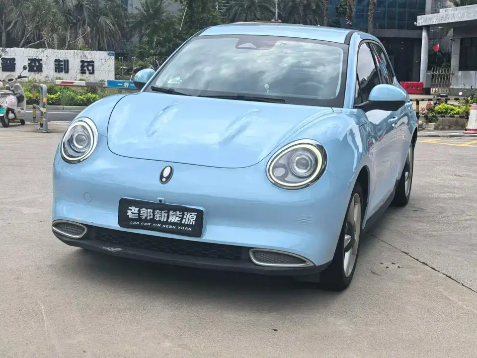 ORA Good Cat 400km Standard Range Luxury LFP 2022