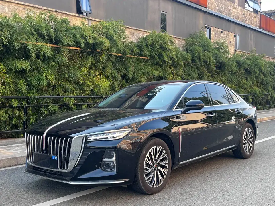 Hongqi H5 2.0T Automatic Qiling 500,000 Units Commemorative Edition 2025