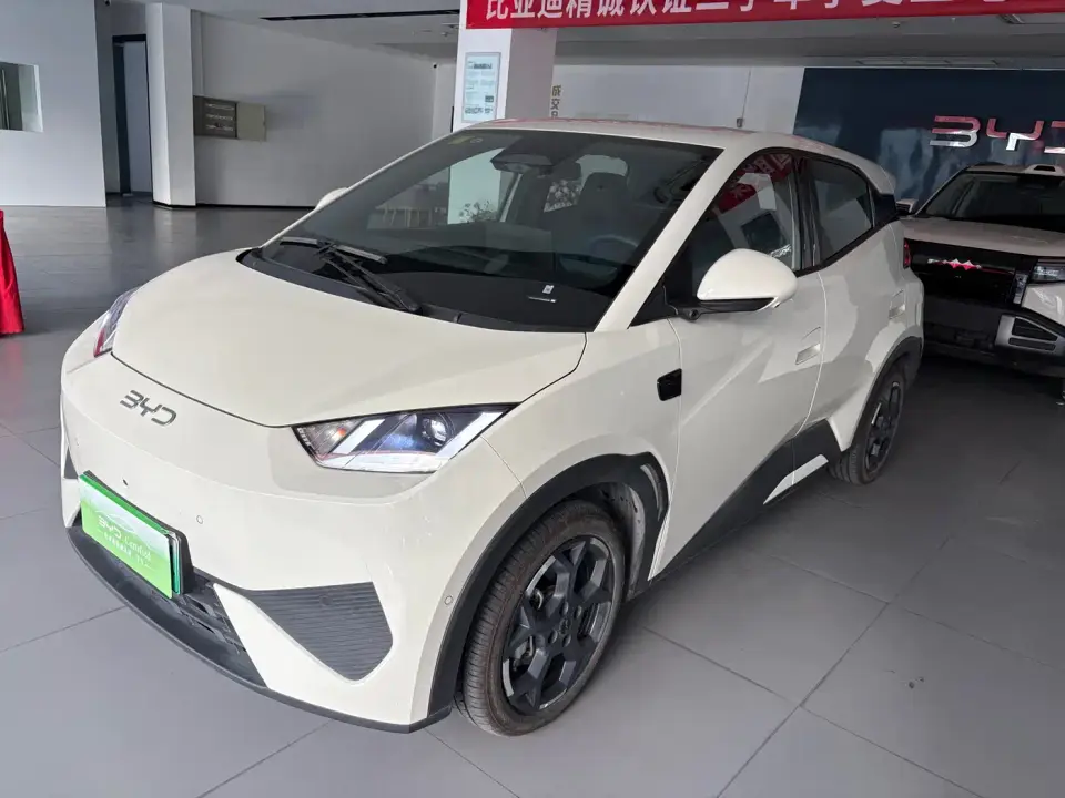 BYD Seagull Smart Drive Edition 305km Freedom Version 2026