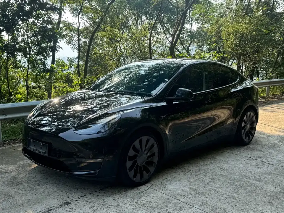Tesla Model Y Performance High-Performance All-Wheel Drive Version 2022