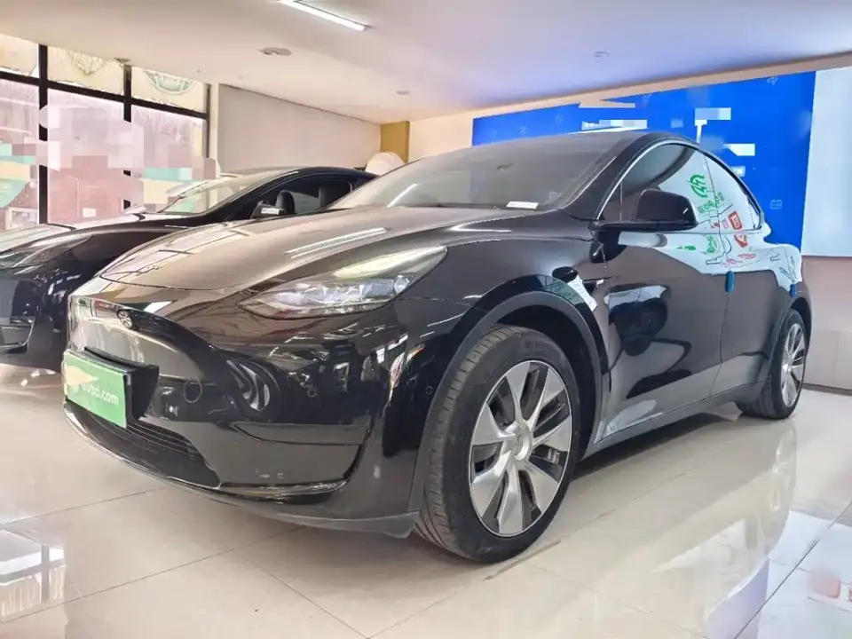 Tesla Model Y Rear-Wheel Drive Version 2022