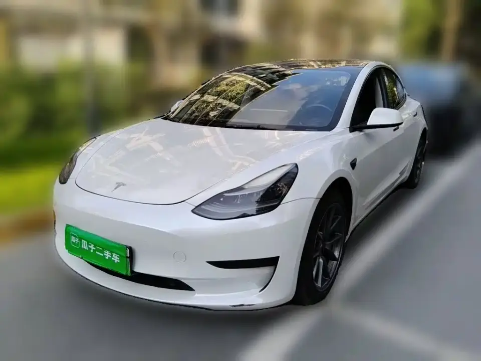 Tesla Model 3 Model Rear-Wheel Drive Version 2022