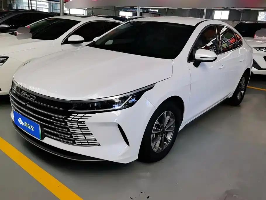 BYD Destroyer 05 Glory Edition DM-i 55KM Luxury 2024