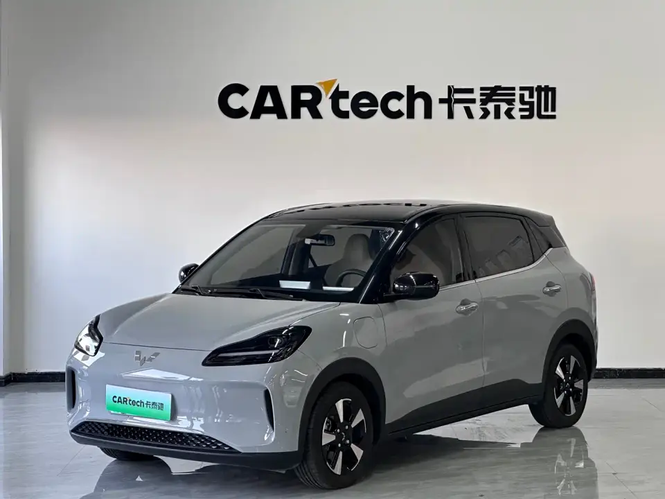 Wuling Motors Wuling Binguo PLUS 401km Range 5-seater 2025
