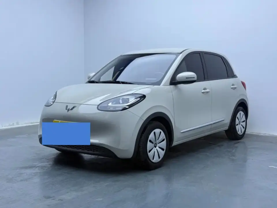 Wuling Motors Wuling Bingo Model 203km Lite Enjoyment Edition 2024