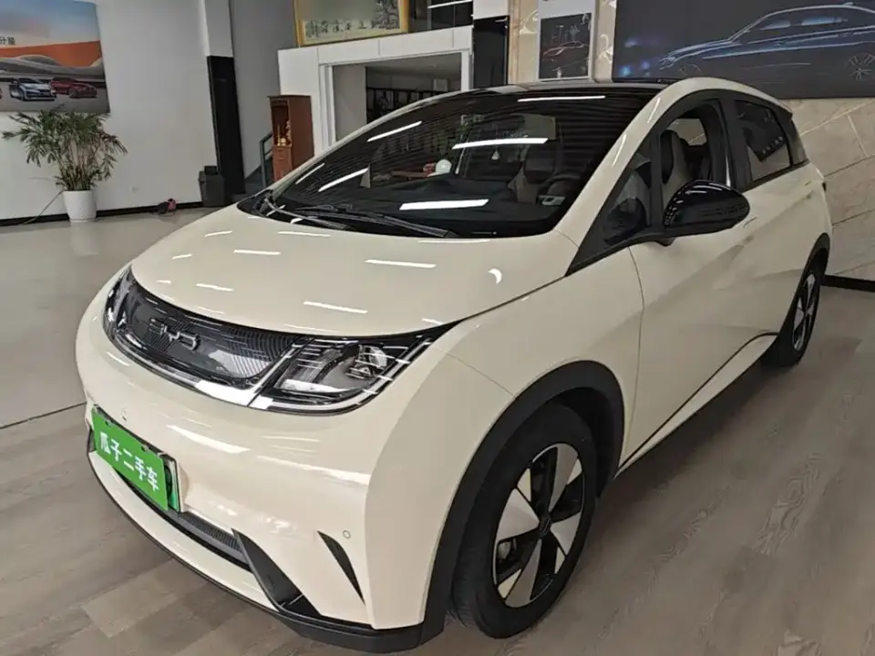 BYD Dolphin 420km Fashion Edition 2023