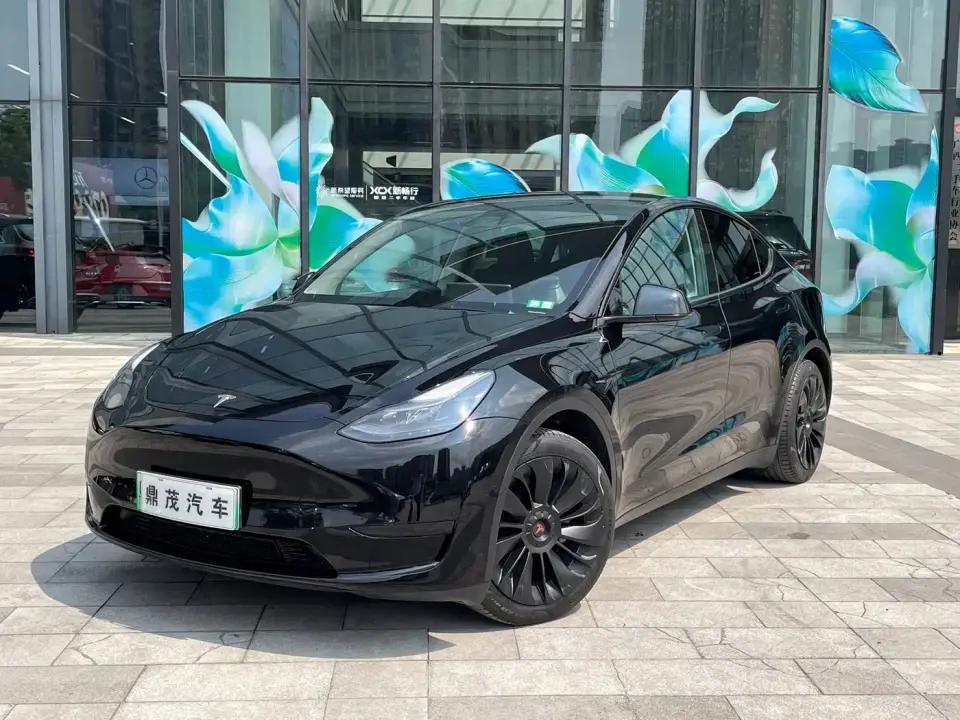 Tesla Model Y Rear-Wheel Drive Version 2022