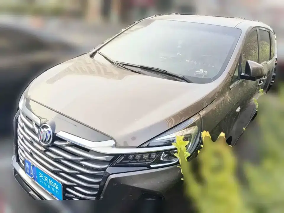 Buick GL8 Land Business Class Premium 2024