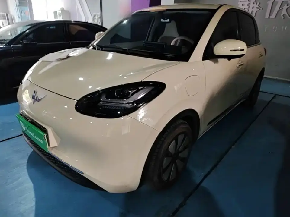 Wuling Motors Wuling Bingo Model 333km Joy Edition 2025