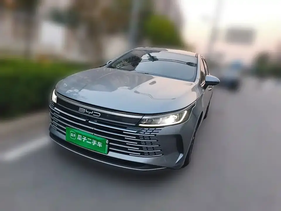 BYD Destroyer 05 Glory Edition DM-i 55KM Luxury 2024