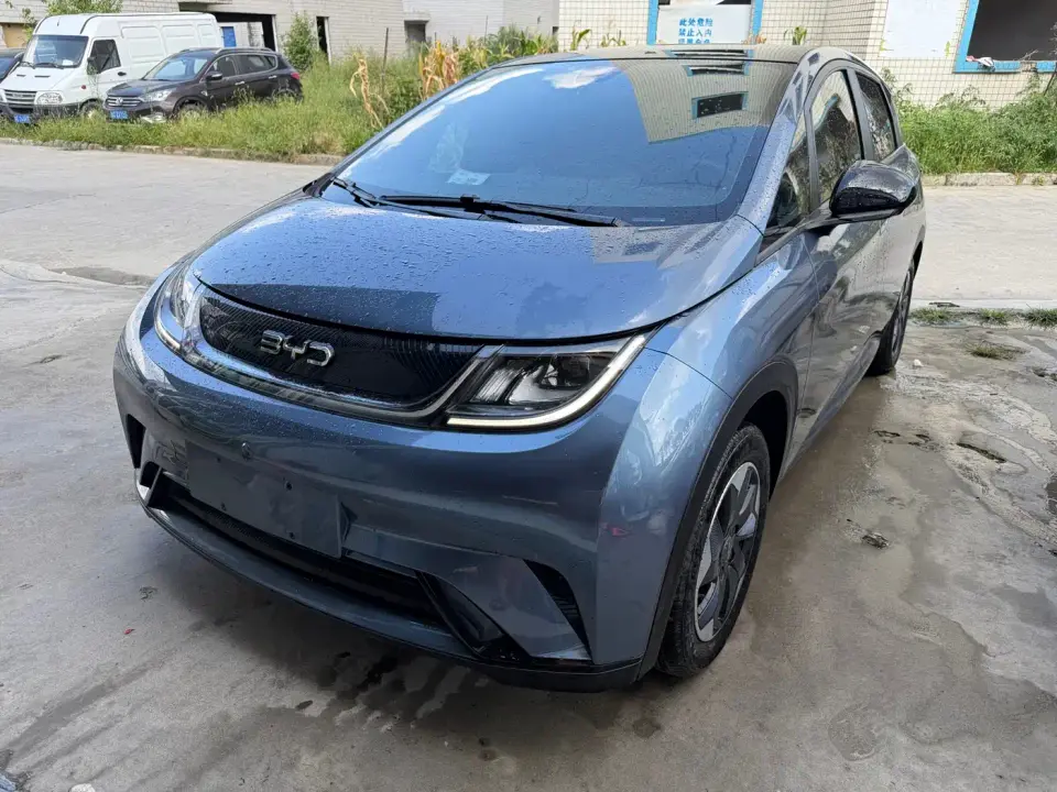 BYD Dolphin Glory Edition 420km Fashion Edition 2024
