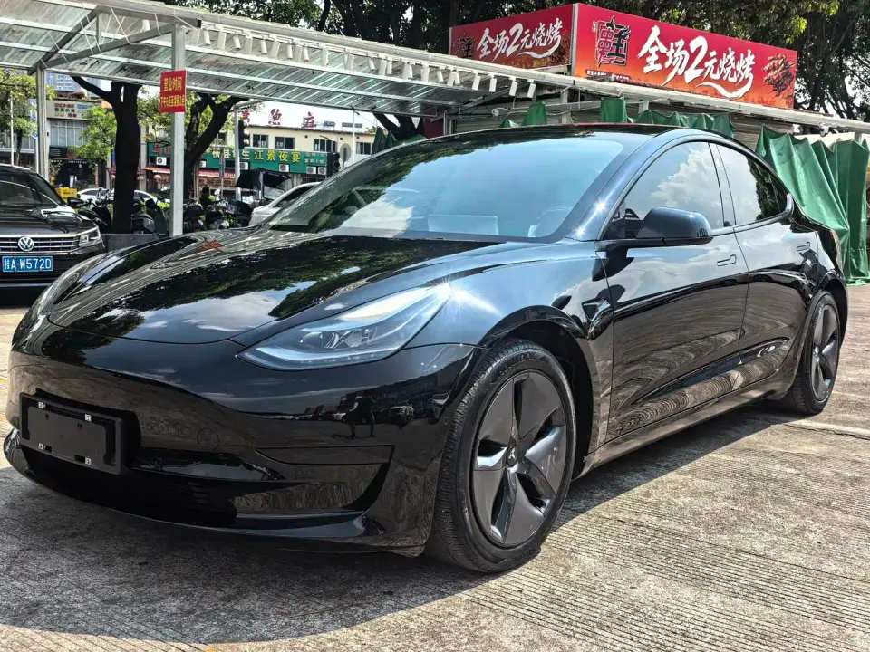 Tesla Model 3 Standard Range Rear-Wheel Drive Upgrade 3D6 2021