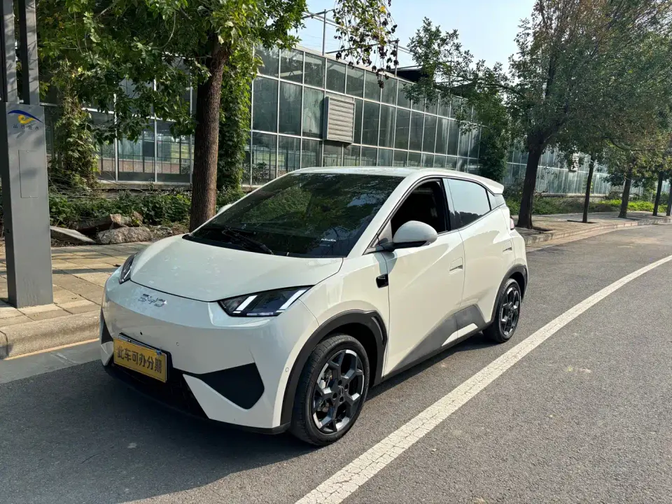 BYD Seagull 305km Freedom 2025