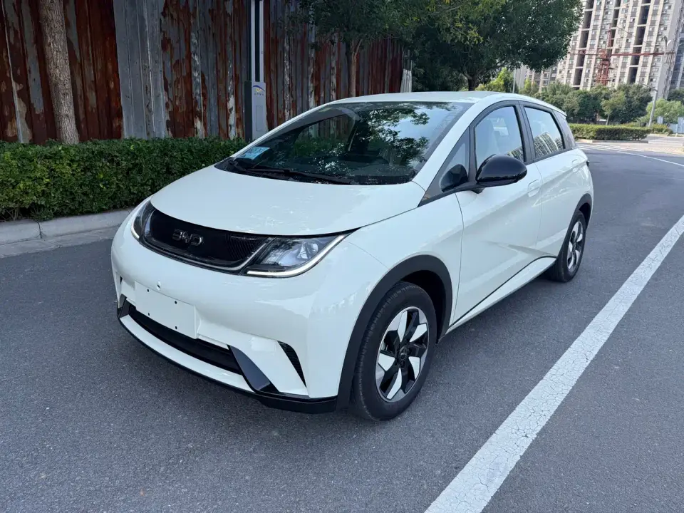 BYD Dolphin 420km Freedom Edition 2026