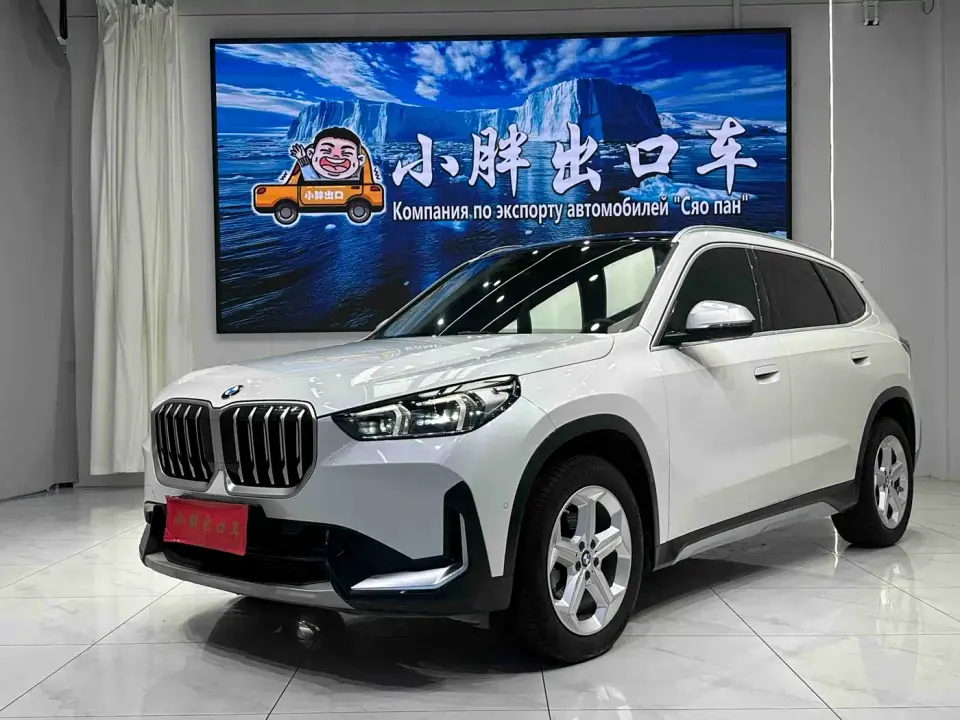 BMW X1 sDrive20Li X Design Package 2024