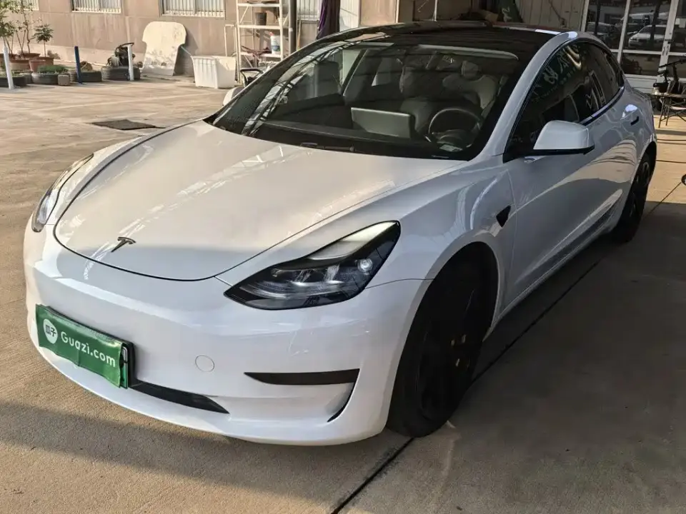 Tesla Model 3 Standard Range Rear-Wheel Drive Upgrade 2021