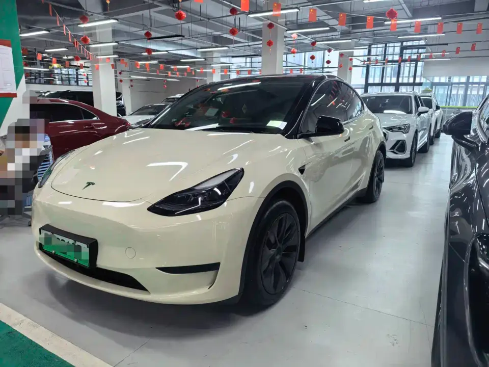 Tesla Model Y Rear-Wheel Drive Version 2024