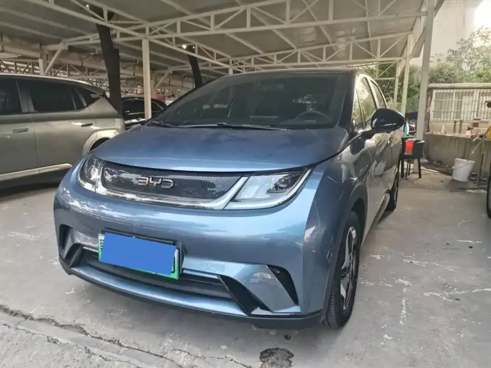 BYD Dolphin Glory Edition 420km Freedom Edition 2024