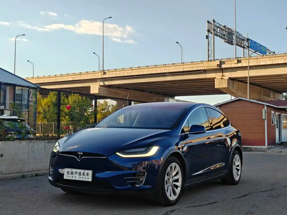Tesla Model X Model X 100D Long Range 2019