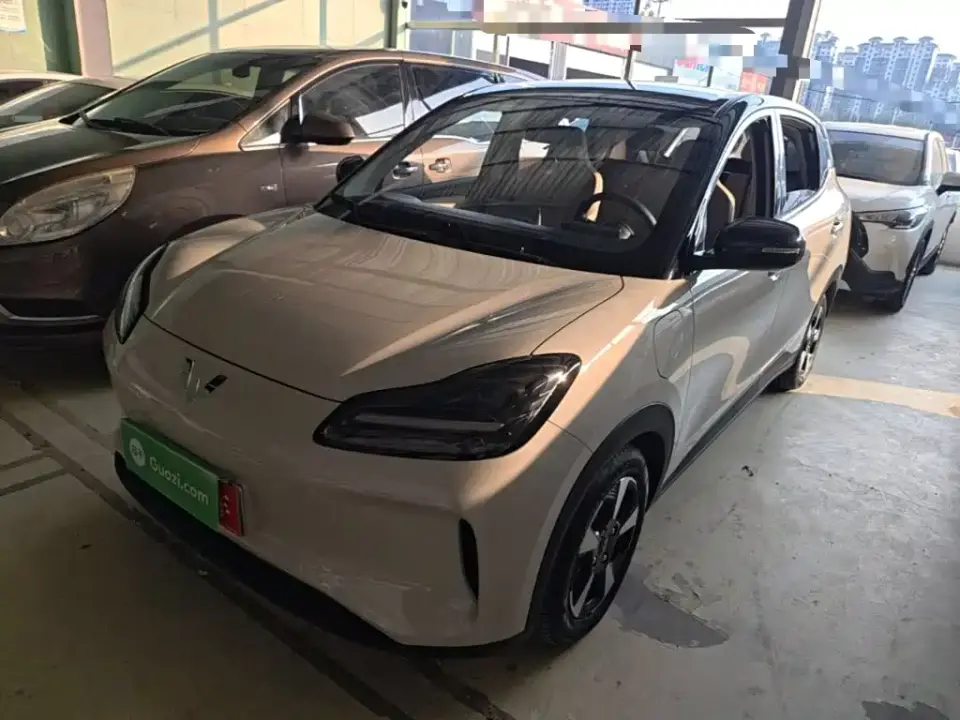 Wuling Motors Wuling Binguo PLUS Model 330km 5-Seater 2025