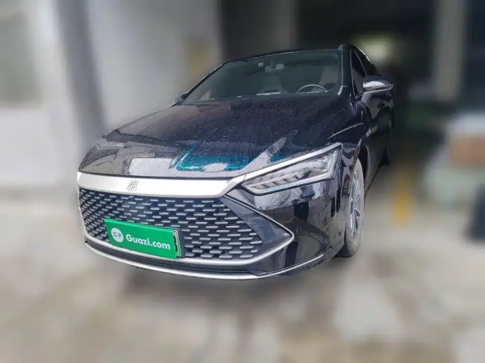 BYD Qin PLUS Glory Edition DM-i 55KM Leading 2024